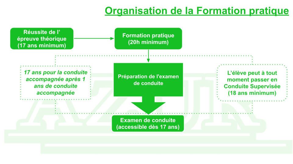 Organisation de la Formation pratique